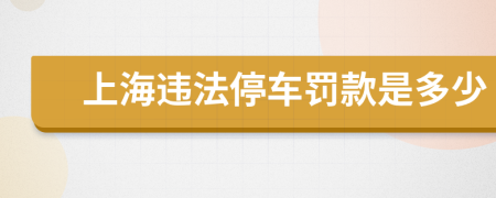 上海违法停车罚款是多少