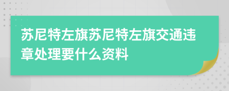 苏尼特左旗苏尼特左旗交通违章处理要什么资料