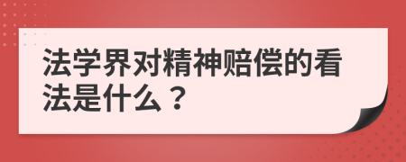 法学界对精神赔偿的看法是什么？