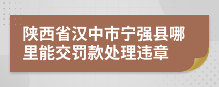 陕西省汉中市宁强县哪里能交罚款处理违章