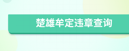 楚雄牟定违章查询