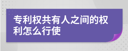 专利权共有人之间的权利怎么行使