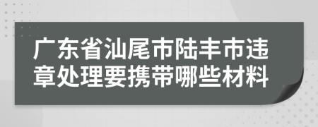 广东省汕尾市陆丰市违章处理要携带哪些材料