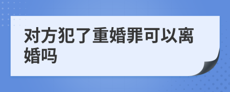 对方犯了重婚罪可以离婚吗