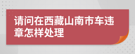 请问在西藏山南市车违章怎样处理