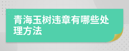 青海玉树违章有哪些处理方法