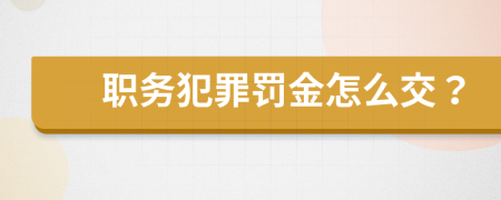 职务犯罪罚金怎么交？