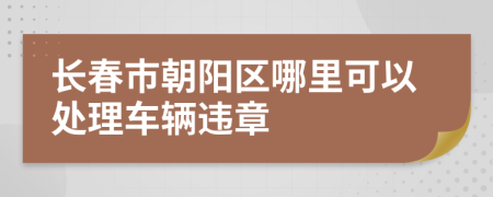 长春市朝阳区哪里可以处理车辆违章