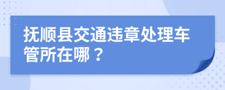 抚顺县交通违章处理车管所在哪？