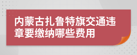 内蒙古扎鲁特旗交通违章要缴纳哪些费用