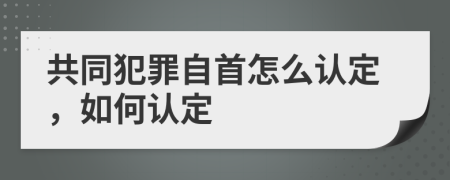 共同犯罪自首怎么认定，如何认定