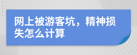 网上被游客坑，精神损失怎么计算