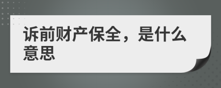 诉前财产保全，是什么意思