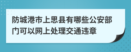 防城港市上思县有哪些公安部门可以网上处理交通违章