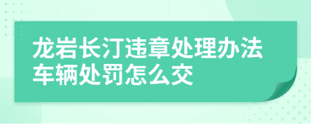 龙岩长汀违章处理办法车辆处罚怎么交