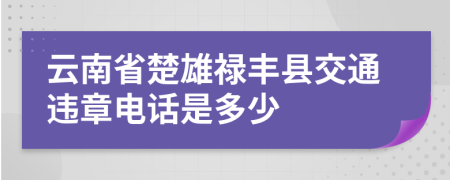 云南省楚雄禄丰县交通违章电话是多少