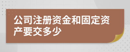 公司注册资金和固定资产要交多少