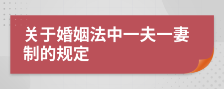 关于婚姻法中一夫一妻制的规定