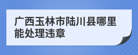 广西玉林市陆川县哪里能处理违章