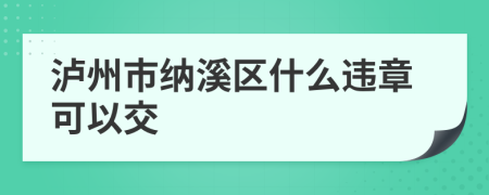 泸州市纳溪区什么违章可以交