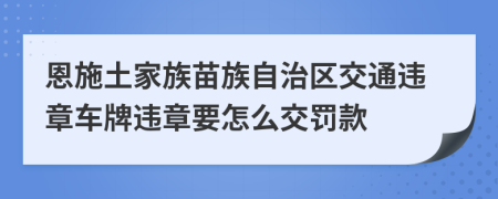 恩施土家族苗族自治区交通违章车牌违章要怎么交罚款