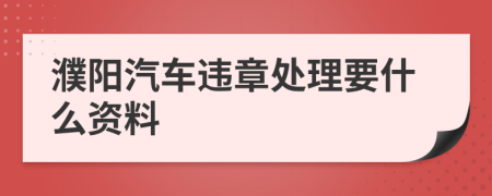 濮阳汽车违章处理要什么资料