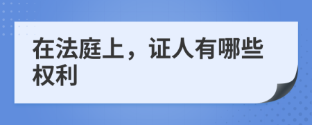 在法庭上，证人有哪些权利