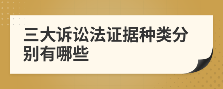 三大诉讼法证据种类分别有哪些