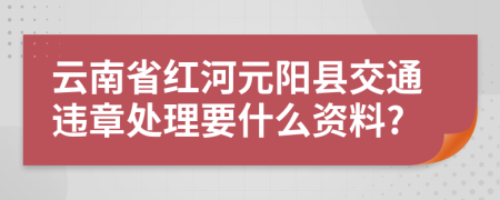 云南省红河元阳县交通违章处理要什么资料?