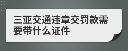 三亚交通违章交罚款需要带什么证件