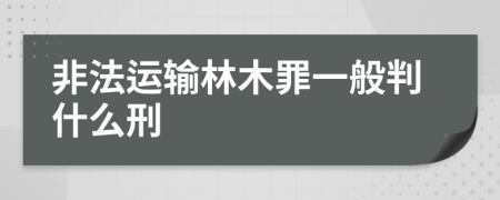 非法运输林木罪一般判什么刑