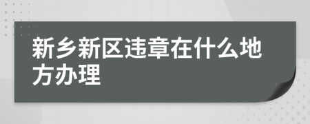 新乡新区违章在什么地方办理