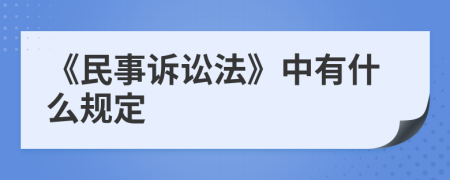 《民事诉讼法》中有什么规定