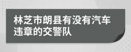 林芝市朗县有没有汽车违章的交警队