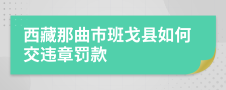 西藏那曲市班戈县如何交违章罚款