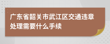 广东省韶关市武江区交通违章处理需要什么手续