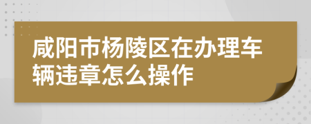 咸阳市杨陵区在办理车辆违章怎么操作