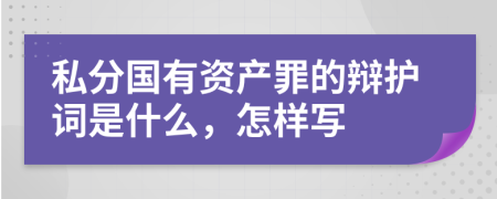 私分国有资产罪的辩护词是什么，怎样写