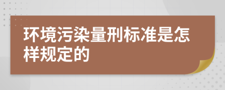 环境污染量刑标准是怎样规定的