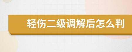 轻伤二级调解后怎么判