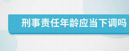 刑事责任年龄应当下调吗