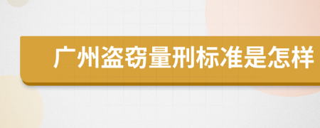 广州盗窃量刑标准是怎样