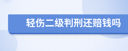 轻伤二级判刑还赔钱吗