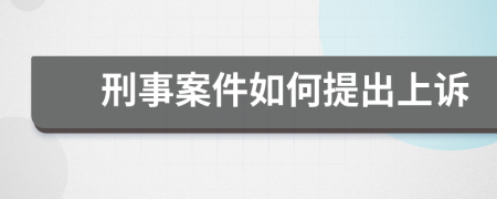 刑事案件如何提出上诉