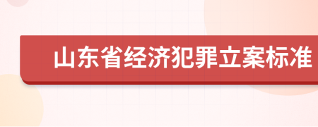 山东省经济犯罪立案标准