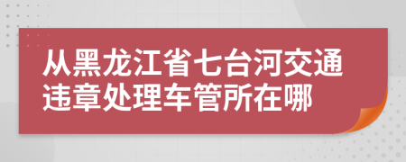 从黑龙江省七台河交通违章处理车管所在哪