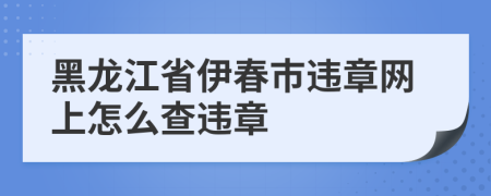 黑龙江省伊春市违章网上怎么查违章