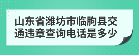 山东省潍坊市临朐县交通违章查询电话是多少