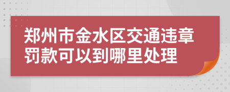 郑州市金水区交通违章罚款可以到哪里处理