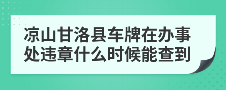 凉山甘洛县车牌在办事处违章什么时候能查到